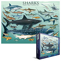 Sharks 1000 piece puzzle