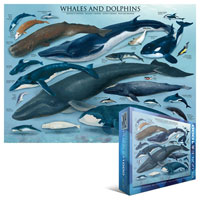 Whales & Dolphins 1000 piece puzzle
