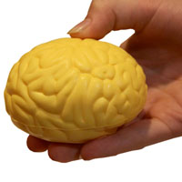 Brain Squish Ball