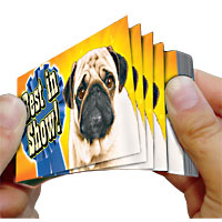 Best in Dog Show Flip Book