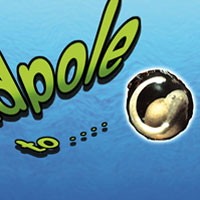 Tadpole to Frog Flip Book