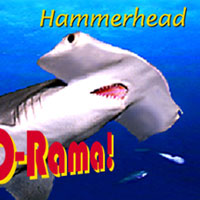 Shark-O-Rama Flip Book