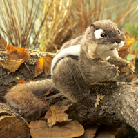 Eastern Chipmunk Puppet
