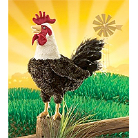 Rooster Puppet