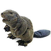 Beaver Puppet