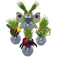 Grow-A-Head Bugs