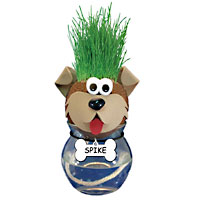 Grow-A-Head Pets