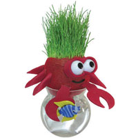 Grow-A-Head Marine Life