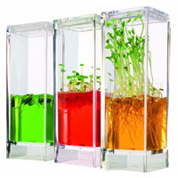 Plantarium Garden Lab