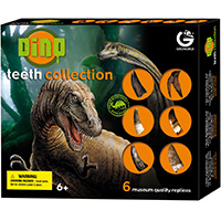 Dinosaur Teeth Collection