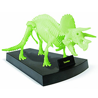 Jurassic Night Dinosaur Skeleton