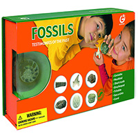 Fossil Testimonies of the Past