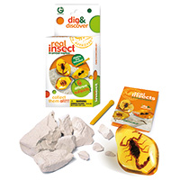 Dig & Discover Insects in Amber