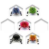 Hexbug Robotic Bug