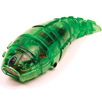 Hexbug Larva