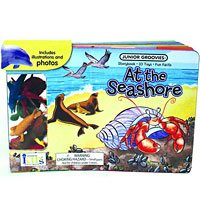 Junior Groovies - At the Seashore