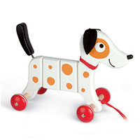 Crazy Rocky Pull Toy