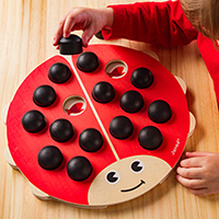 Lady Bug Memory Game