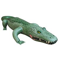 Inflatable Alligator - 62 inch