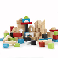 Wooden Block Set - 100 pc