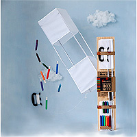 Design Your Own Box Kite