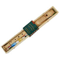 Design Your Own Musical Recorder