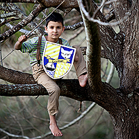 Design Your Own Wooden Shield