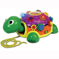 Funtime Activity Turtle