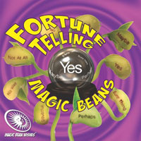 Magic Bean Planter Kit - Fortune Telling