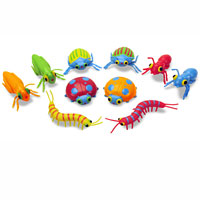Bag of Bugs