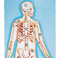 Human Anatomy Floor Puzzle