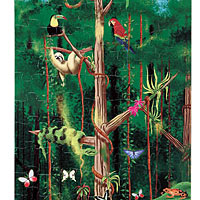 Rain Forest (100 pcs)