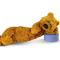 Longfellow Bear