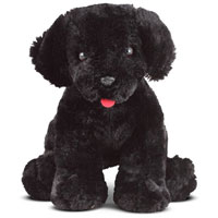Benson Black Lab
