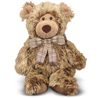 Brownson Bear