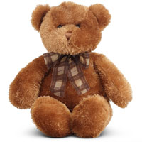 Bronzer Bear