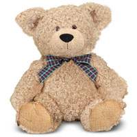 Baby Frizz Bear