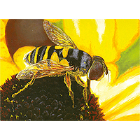Sunflower Snack - 100 piece Jigsaw Puzzle
