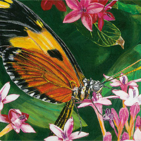 Butterfly Perch - 100 piece Jigsaw Puzzle