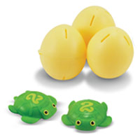 Taffy Turtle Catch & Hatch