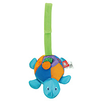 Wiggly Turtle