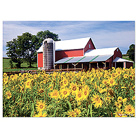 Sunflower Farm Jigsaw Puzzle - 300 pc