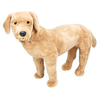 Yellow Lab