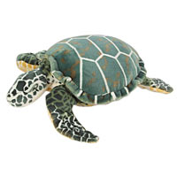 Giant Sea Turtle