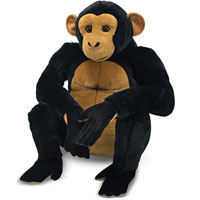 Chimpanzee - Plush