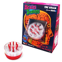The Brain
