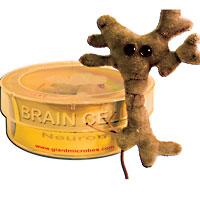 Brain Cell Petri Dish