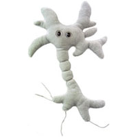 Giantmicrobes Brain Cell