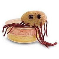 Giantmicrobes E. Coli