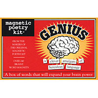 The Genius Magnetic Poetry Kit